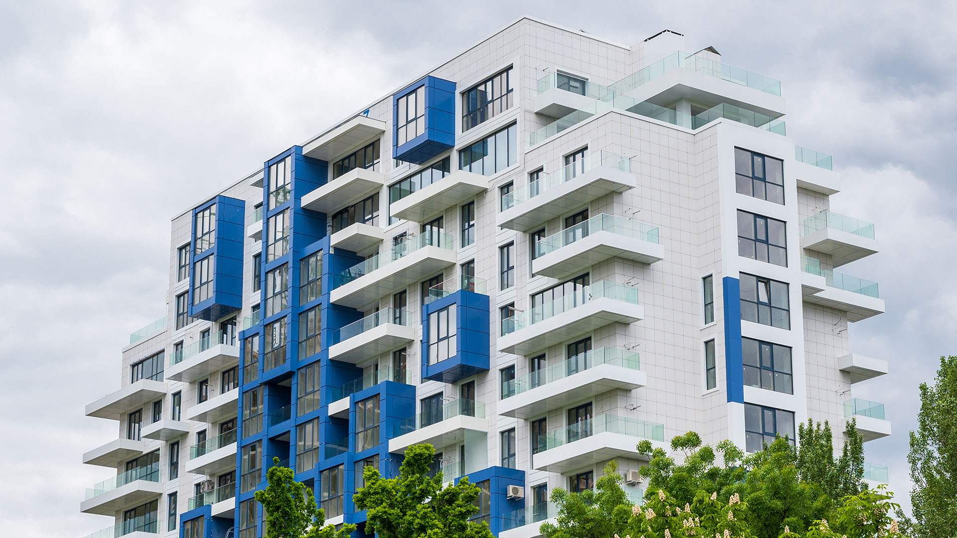 Read more about the article Article 1