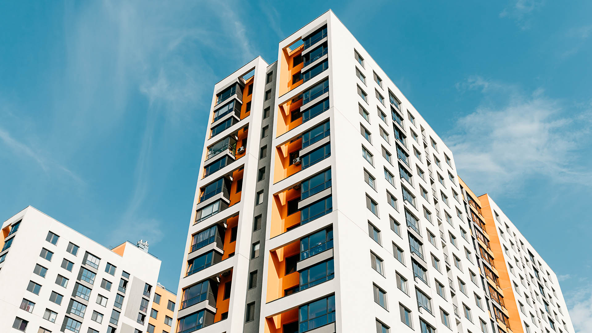 Read more about the article Article 1